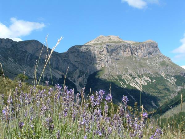 Wildlife and walking holiday in France