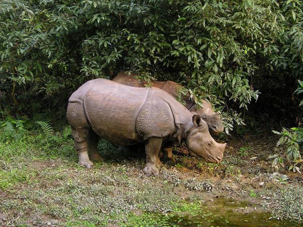Classic Nepal tour