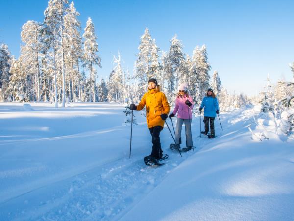 Family winter activity holiday in Finland