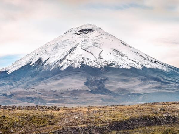 Ecuador and Amazon holiday