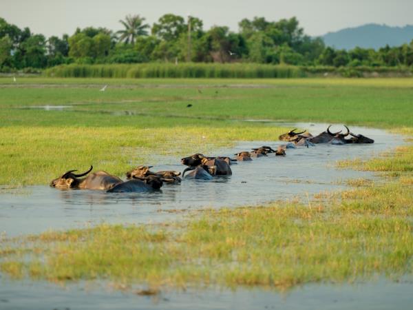 Southern Thailand nature and culture holiday