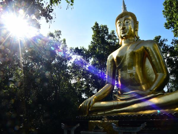 Northern Thailand homestay holiday in Phayao