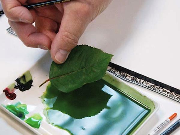 Painting holiday in Greece