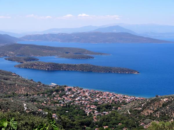 Greek painting holiday, botanical painting course
