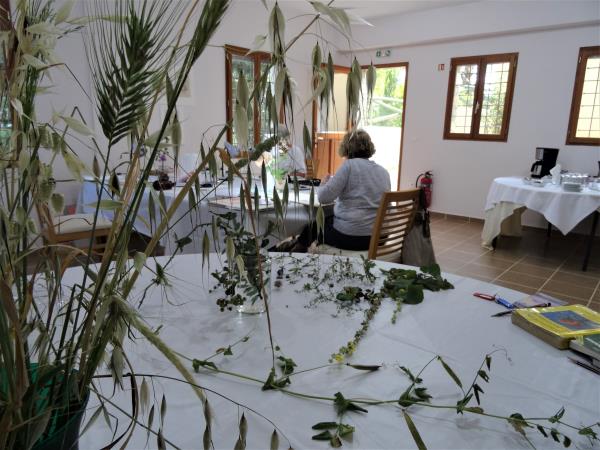 Greek painting holiday, botanical painting course