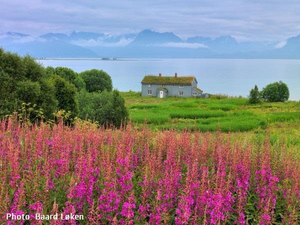 Cycling holiday in Norway, The islands north of Lofoten