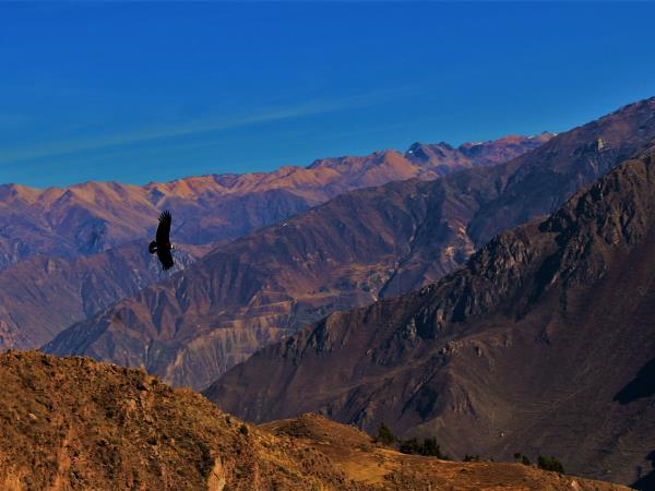Highlights of Peru holidays