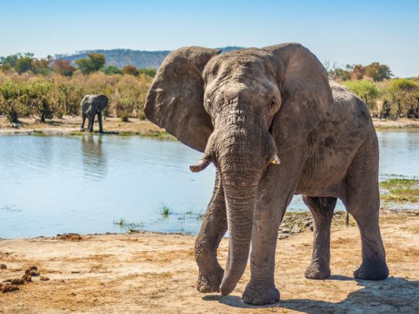 Tanzania family safari and Zanzibar holiday
