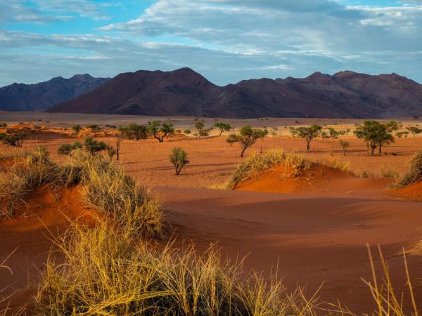 Namibia tour, self drive holiday