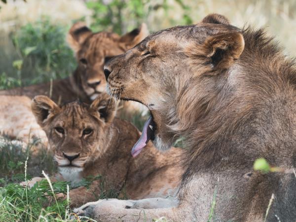 Namibia tour, self drive holiday