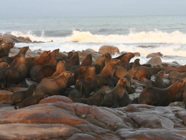 Namibia tour, self drive holiday