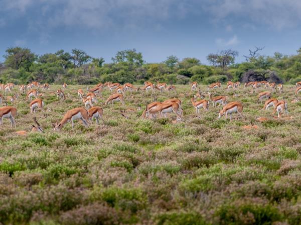 Namibia tour, self drive holiday