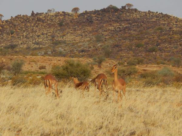 Namibia tour, self drive holiday