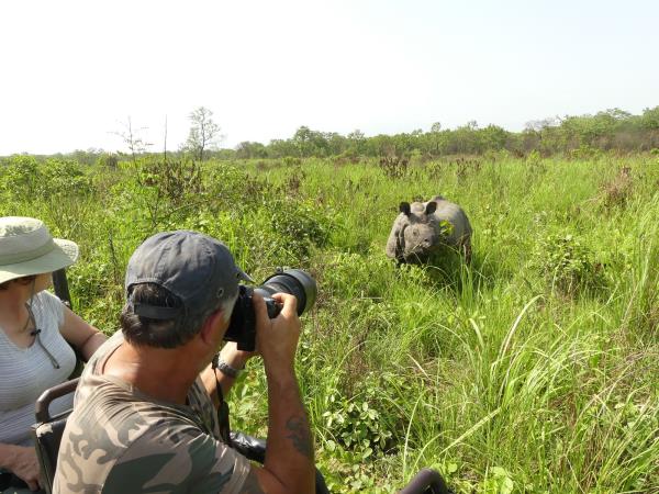 Budget tiger safari in Nepal