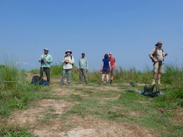 Nepal budget tiger safari in Chitwan