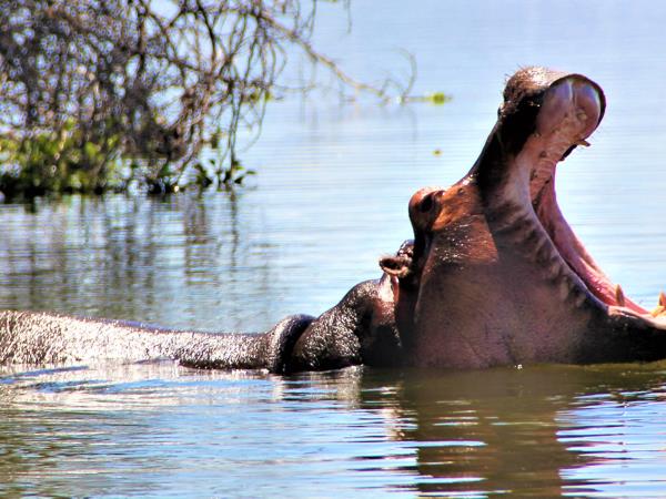 Kenya cultural tours, 5 days