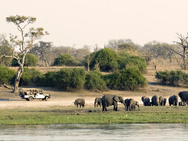 Botswana family safaris, Okavango Delta & Chobe