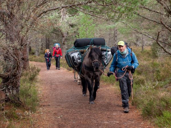 Cairngorms glamping and hiking holiday in Scotland