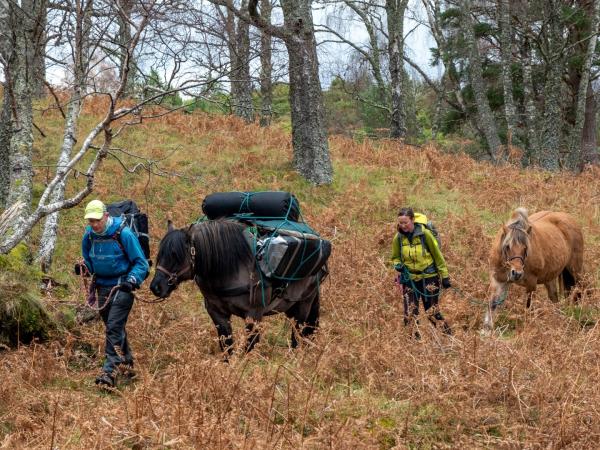 Cairngorms glamping and hiking holiday in Scotland