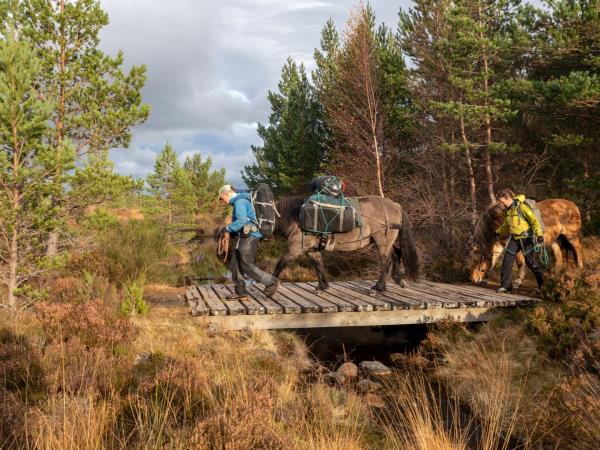 Cairngorms glamping and hiking holiday in Scotland