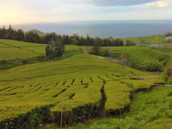 Azores multi activity holiday