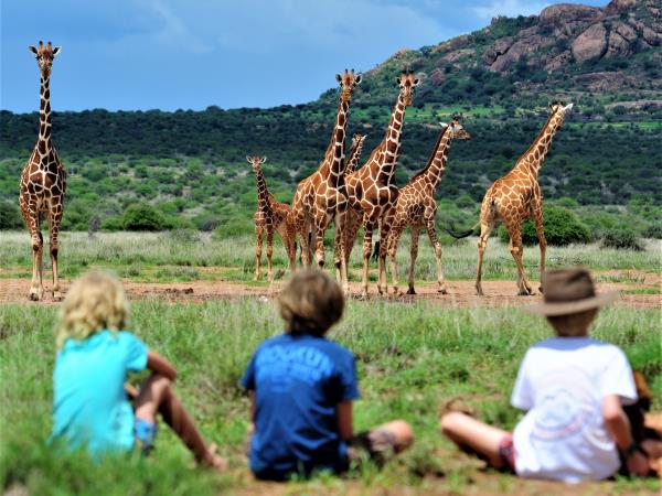 Kenyan culture and wildlife holiday