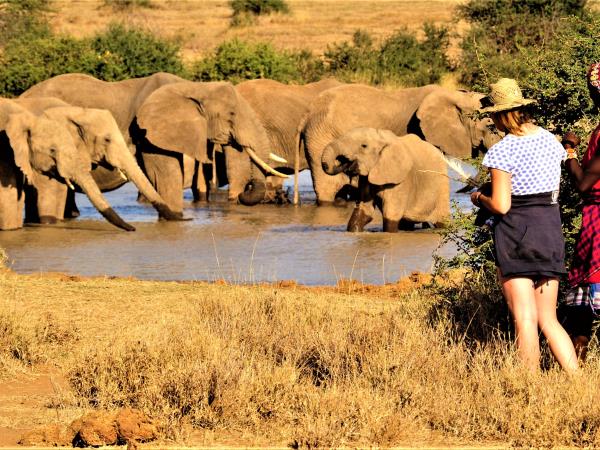 Kenyan culture and wildlife holiday