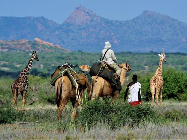 Kenyan culture and wildlife holiday