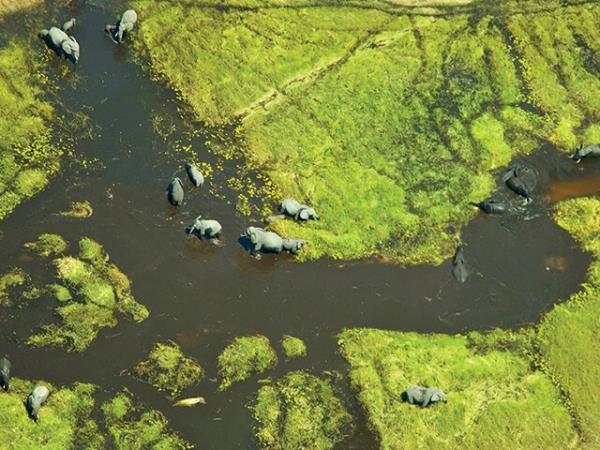 Botswana honeymoon safari holiday