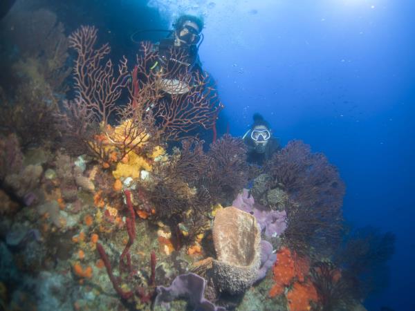 Dominica adventure holiday