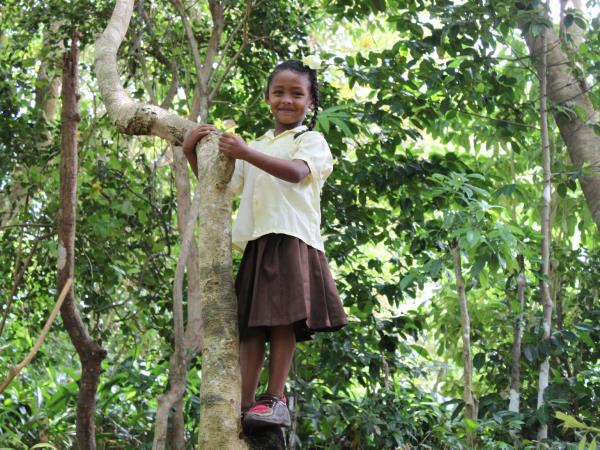 Dominica nature and culture holiday