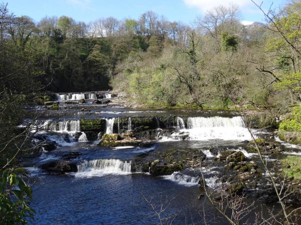Yorkshire dales walking holiday, James Herriot Way