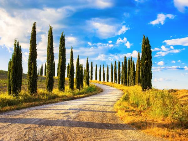 Italy food holiday, tailor made