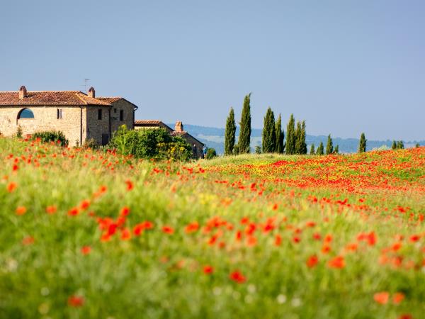 Italy food holiday, tailor made