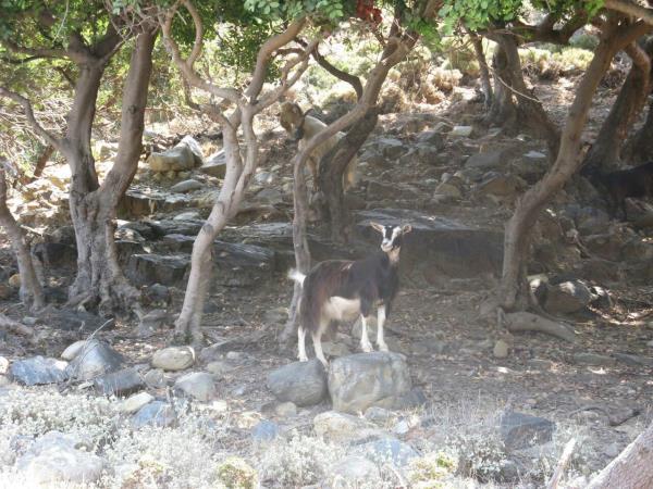 Family trip in Crete