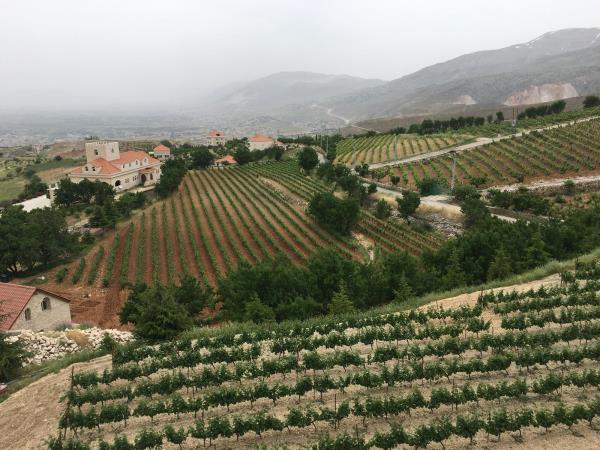 Lebanon tailor made holiday