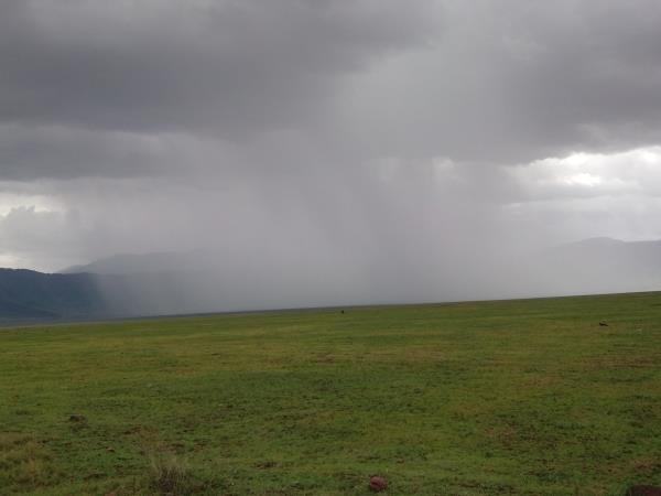 Tanzania wildlife holidays