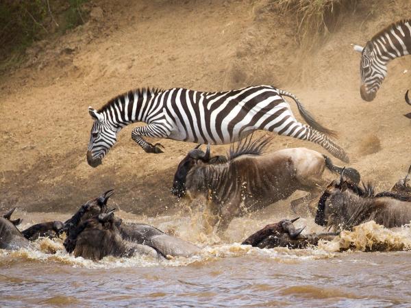 Tanzania holidays, northern circuit & migration safari