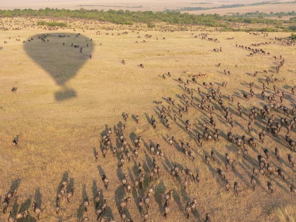 Tanzania holidays, northern circuit & migration safari