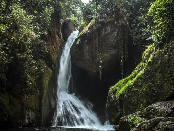 Costa Rica adventure tour, Forests & Shores