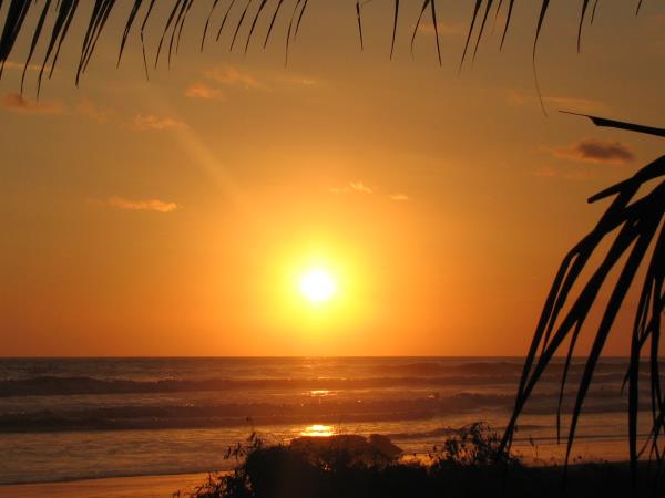 Costa Rica adventure tour, Forests & Shores