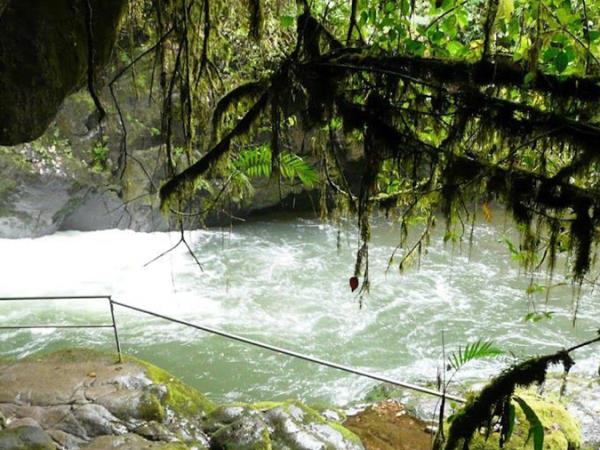 Costa Rica adventure tour, Forests & Shores