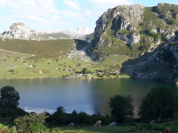 Northern Spain cultural tour