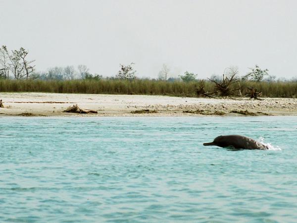 Nepal Terai wildlife safari