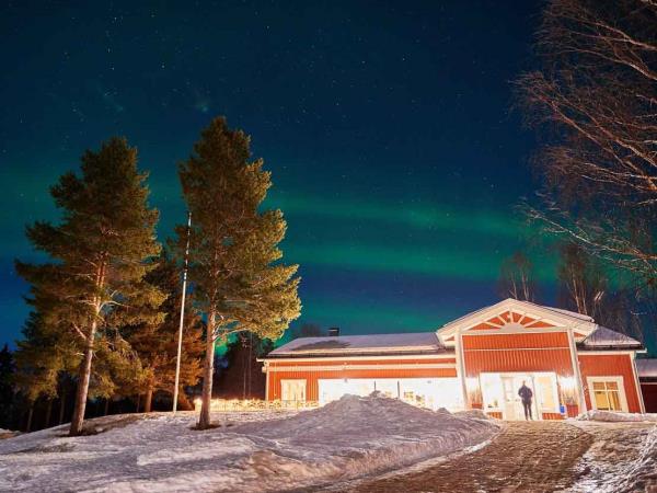 Family huski safari in Swedish Lapland