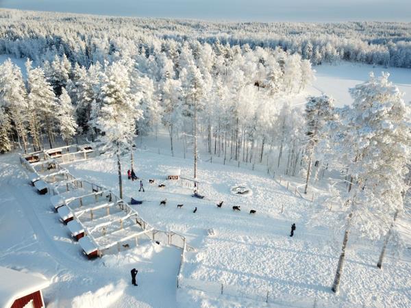 Family huski safari in Swedish Lapland