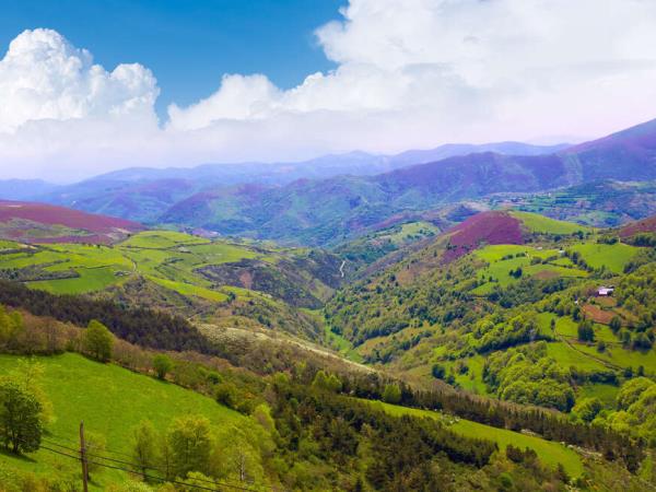 Self-Guided cycle Camino de Santiago holiday