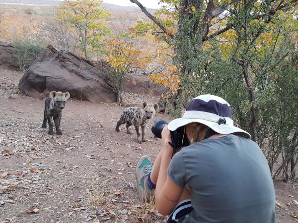 Botswana wildlife tracking safari, Tuli Game Reserve