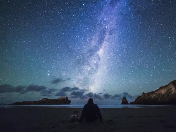 New Zealand North and South Island tour