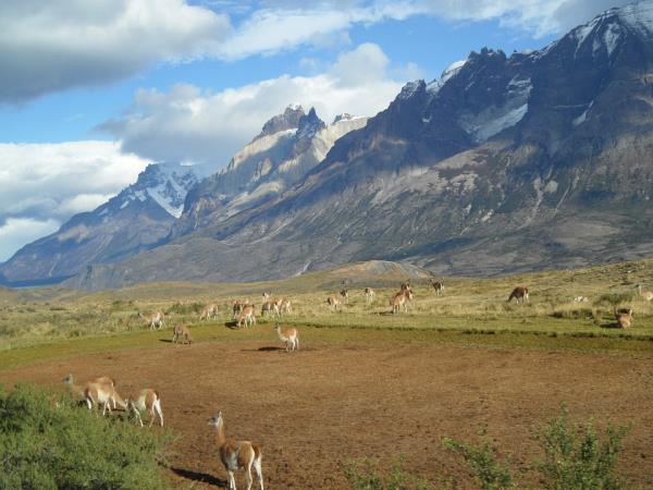 Chile & Patagonia holiday
